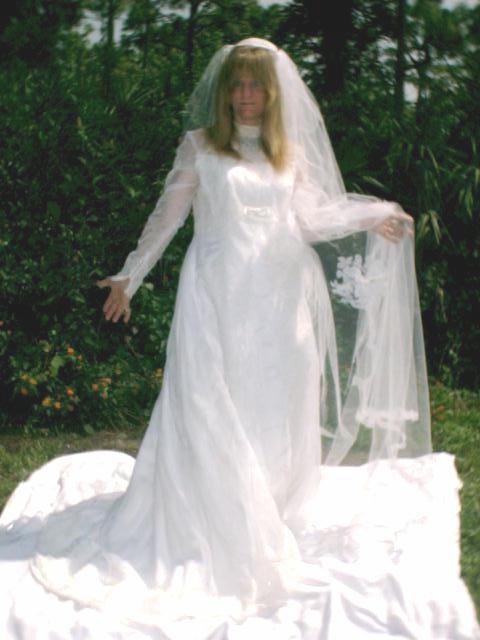 Size 9 Wedding Gown Long Veil & Tail