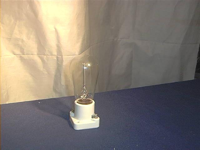 Edison Bulb or Mazda Lamp